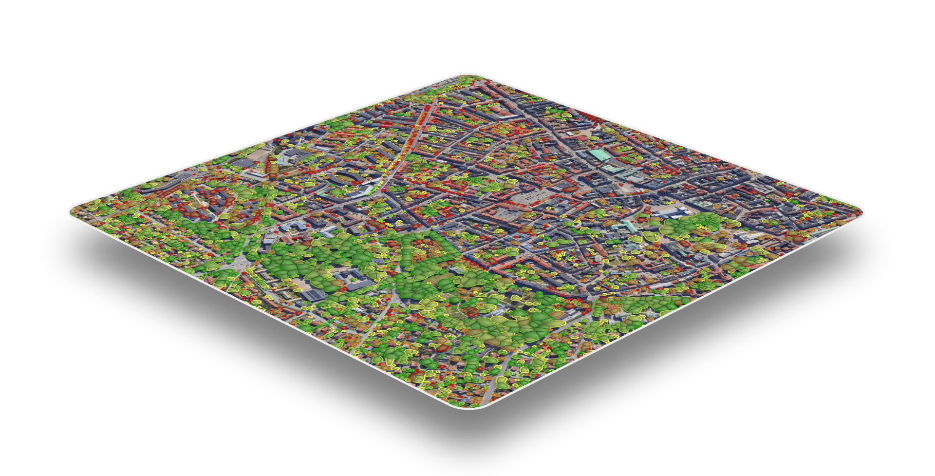 Tree Vitality Analysis